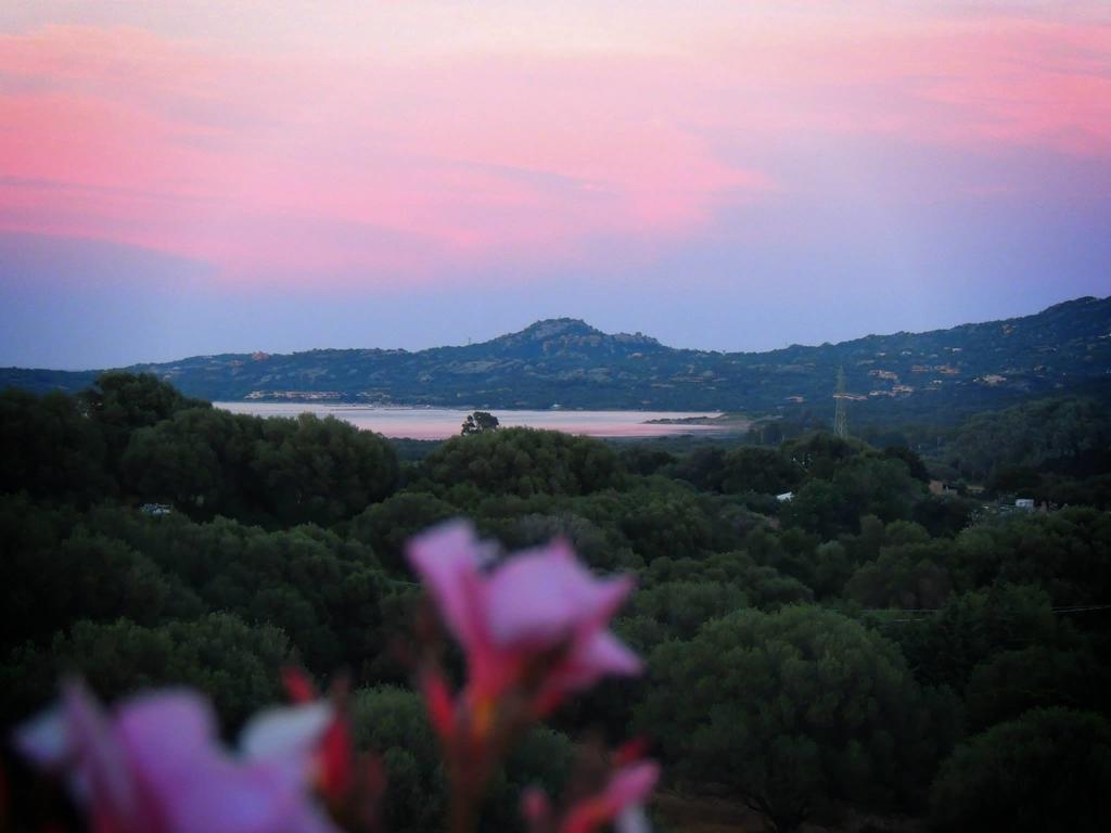 Villa Agriturismo Sa Mendhula à Cugnana Chambre photo