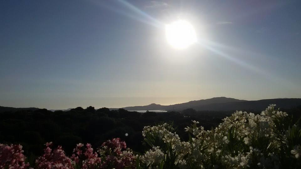 Villa Agriturismo Sa Mendhula à Cugnana Chambre photo