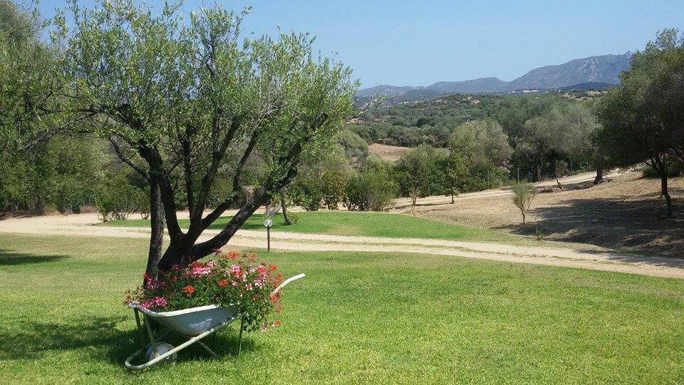 Agriturismo Sa Mendhula Cugnana Extérieur photo