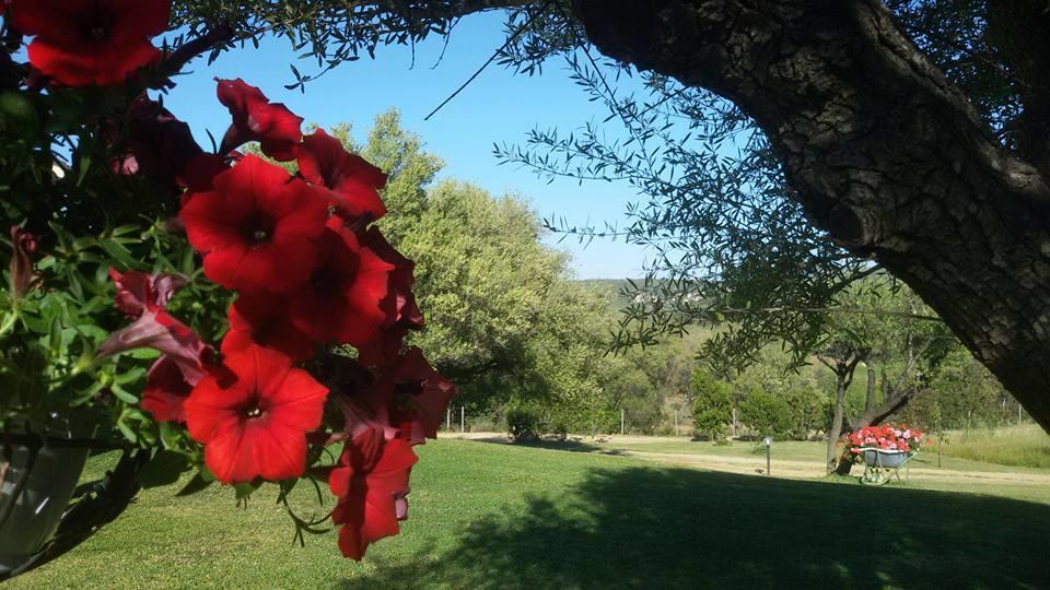 Villa Agriturismo Sa Mendhula à Cugnana Extérieur photo