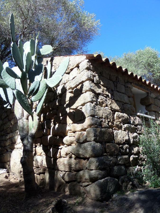 Villa Agriturismo Sa Mendhula à Cugnana Extérieur photo